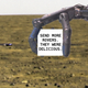 Illustration for article titled 30 Mars Phoenix Discoveries NASA Will Never Show the World